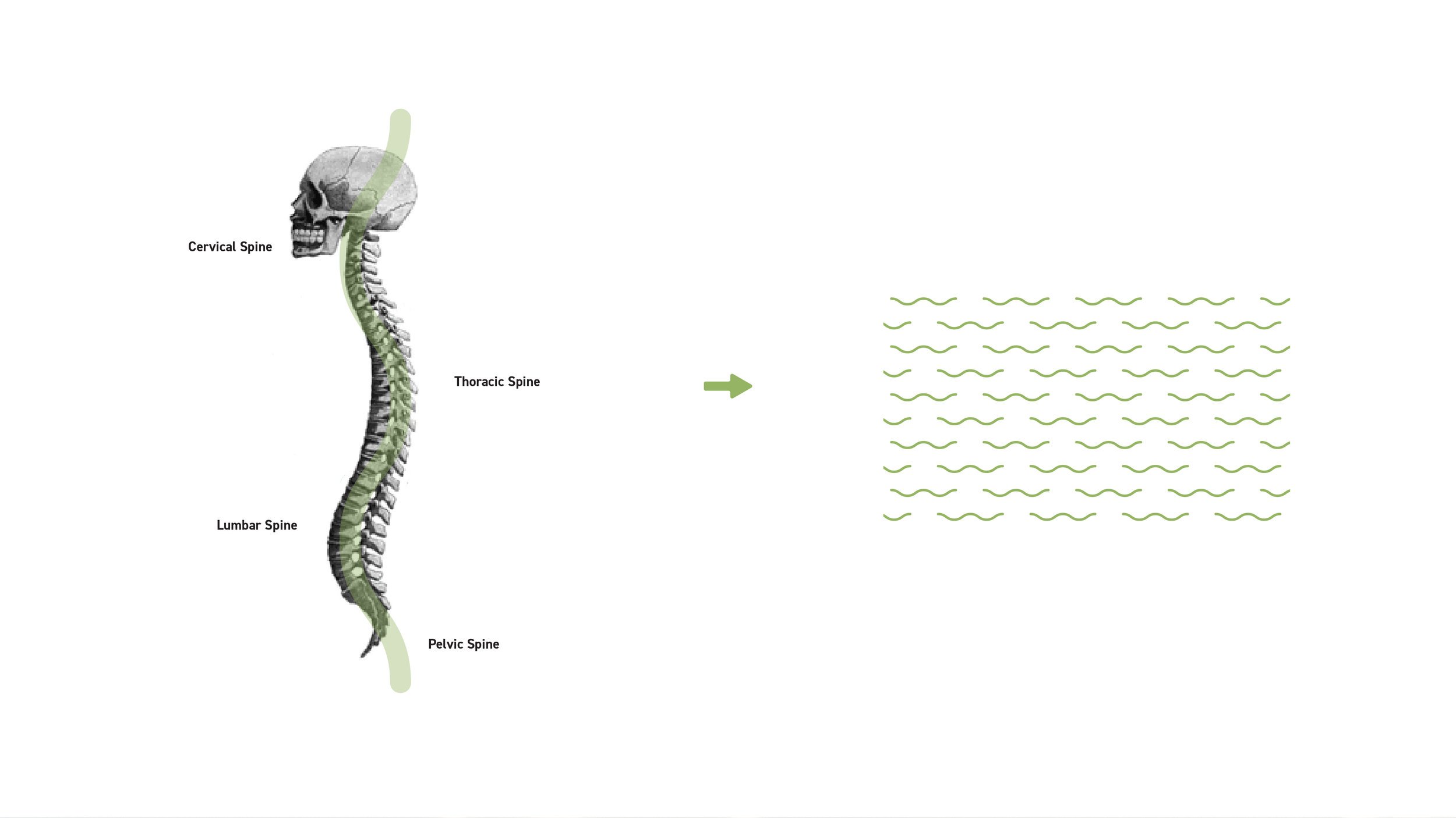 Mobile Physiotherapy image 4