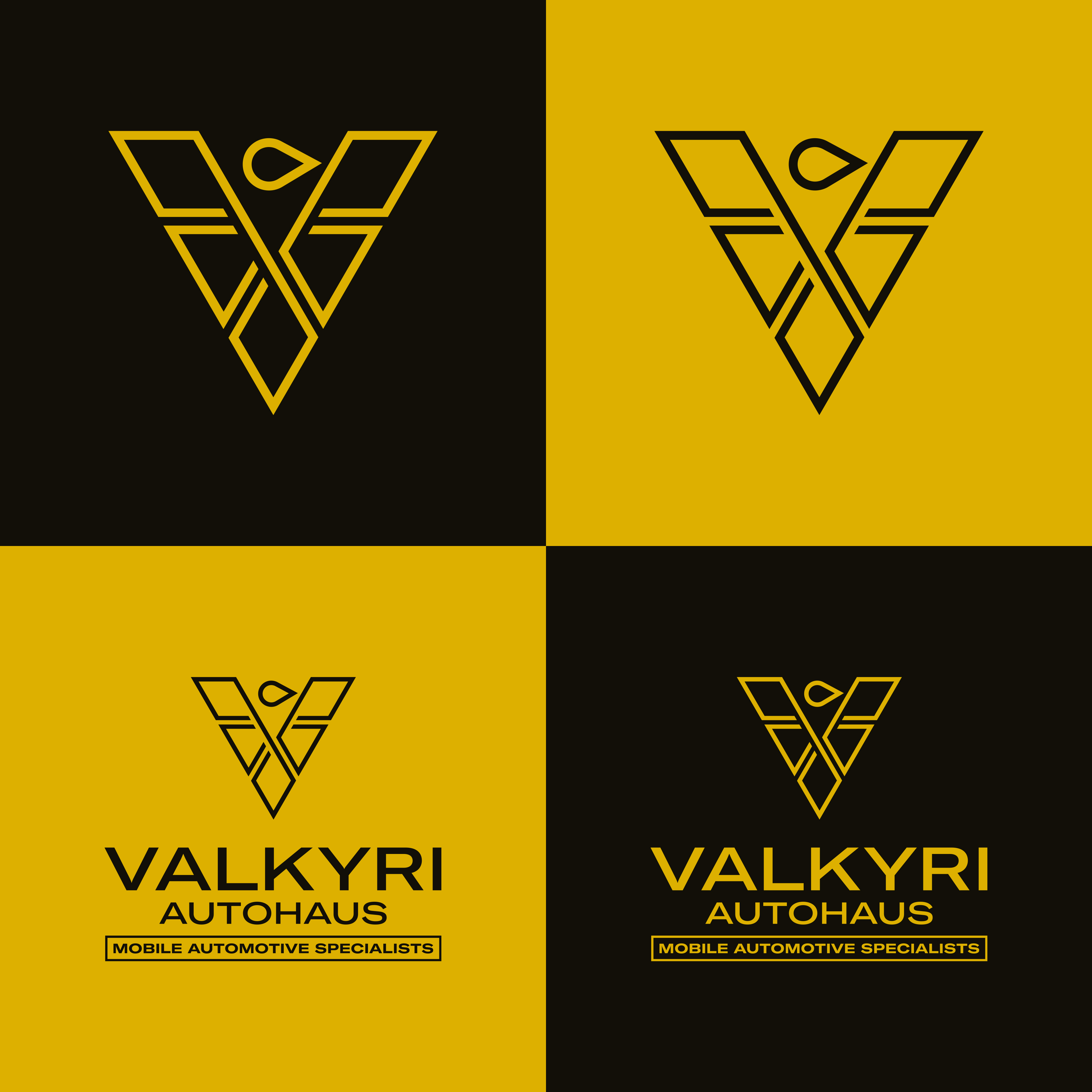 Valkyri Autohaus logo colourway grid