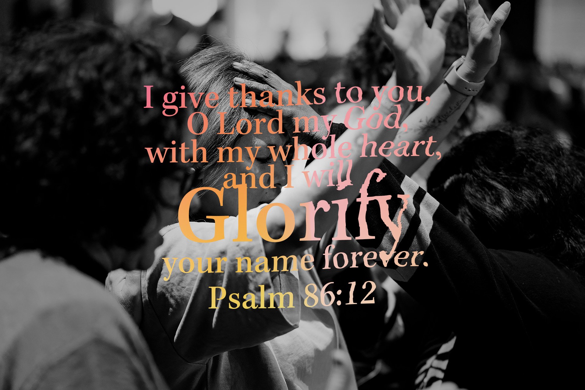 Nations Conference 2024: Glorify image 6
